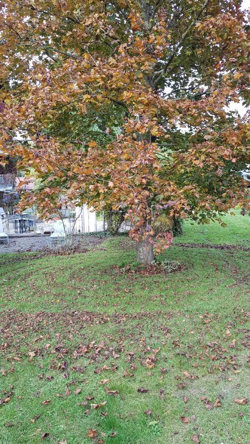 Hotel Kamps Ehrstädt Zewnętrze zdjęcie